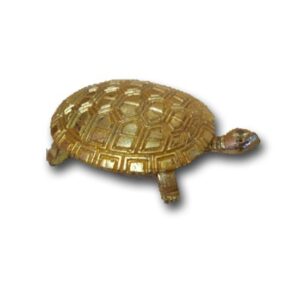 THREE LEGGED TORTOISE 1 PIECE