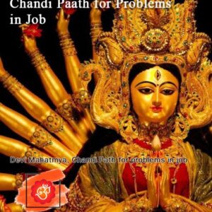 Chandi paath for problems in Job (code:2014)