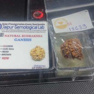 Ganesha Rudraksha Single beed (For Knowledge & Perfection)