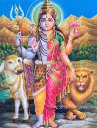 Gauri Shankar puja for marital discord & fights (code:2026)