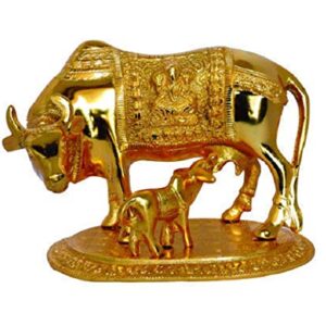 Kamdhenu cow with Calf