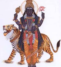Rahu Dosh Nivaran (code:2033)