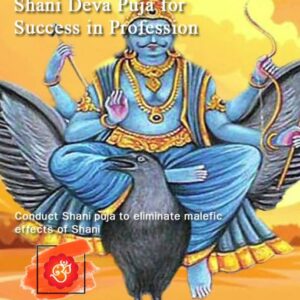 Shani deva puja for success in profession (code:2016)