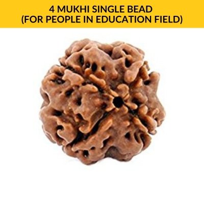 4 MUKHI SINGLE BEAD (For People in Education Field)