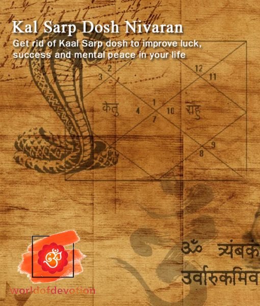Kaalsarp-dosh-shanti-puja-har-ki-pauri-haridwar-World-of-Devotion
